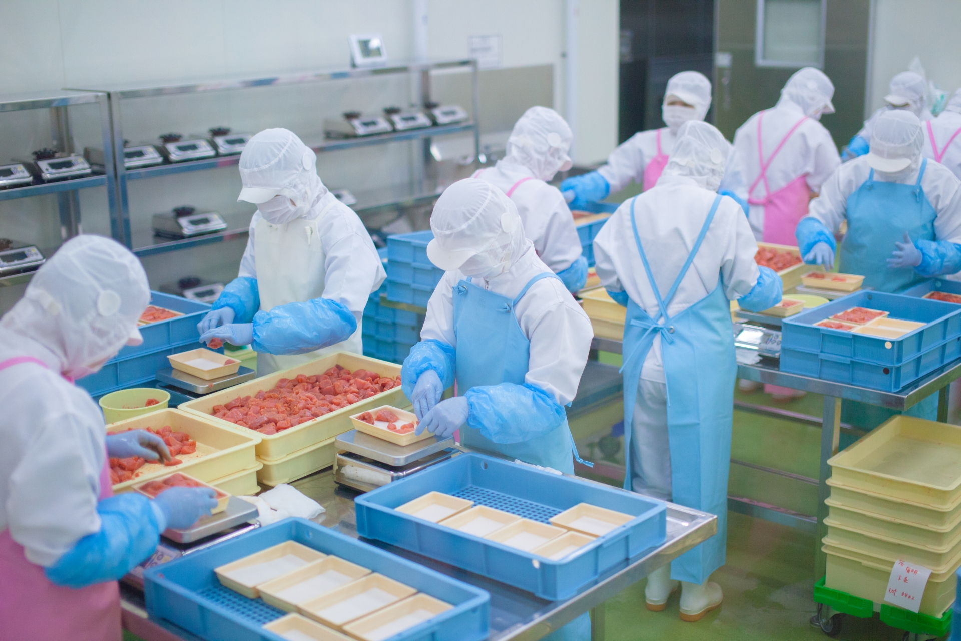 食品工場｜株式会社脱炭素計画